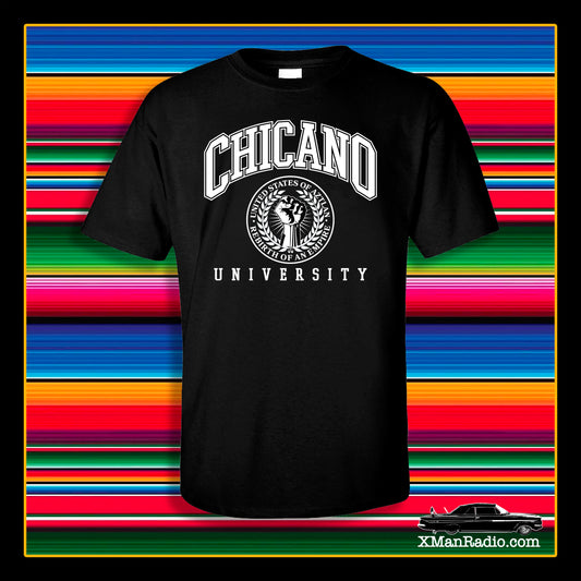 Chicano Universtiy